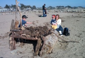 Driftwood and seaweed fort constructed by small kids.