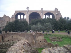 The Roman Forum, once the most politically important seat in the world.  Now full of archeologists.